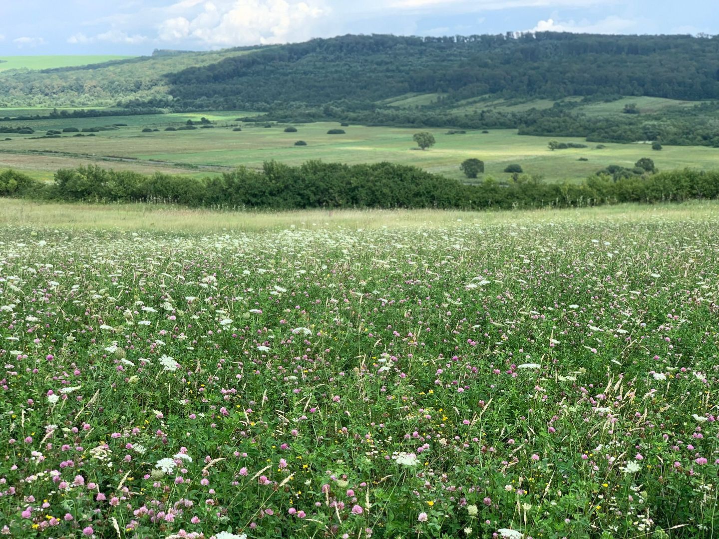 Teren arabil de 630 hectare în Galați - Poză 3