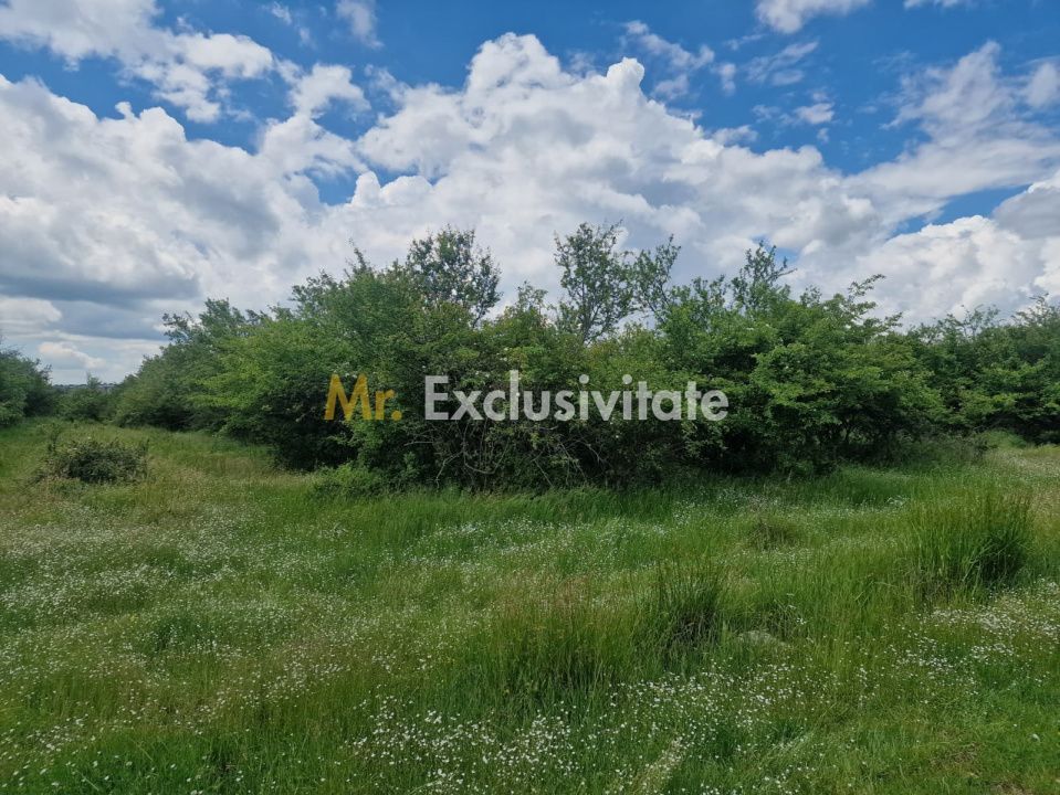 0% Comision!!! Teren intravilan Smeura - str Prunilor! - Poză 8
