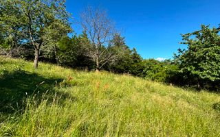 Teren intravilan 916 mp | Cisnădioara | P+1 | Zonă premium - Poză 3