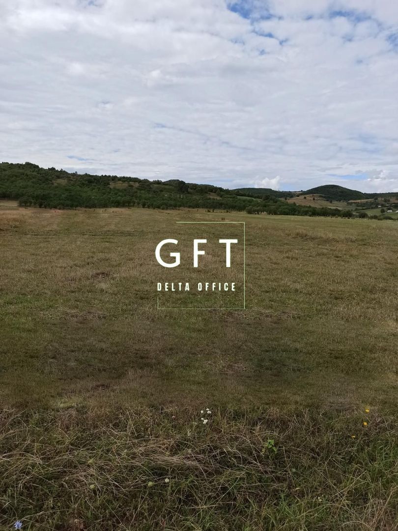 TEREN INTRAVILAN 5000 mp-ideal case,hale-Livezile PRET PROMO! - Poză 3