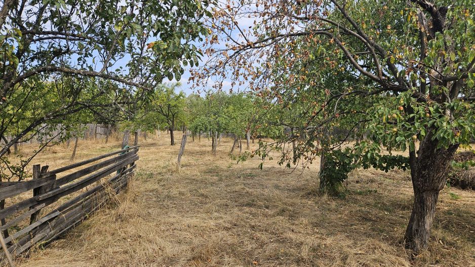 Vanzare teren pentru casa, Moraresti - Poză 4