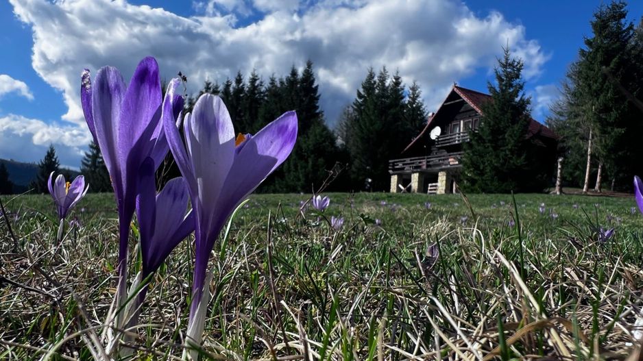 Cabana Exclusivista de vanzare in Belis - Cluj + 14.715 mp teren - Poză 1