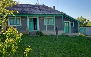 Casă cu teren intravilan de 5000 mp, livadă tânără și vie productivă, în Roșu, comuna Răducăneni, județul Iași - Poză 1