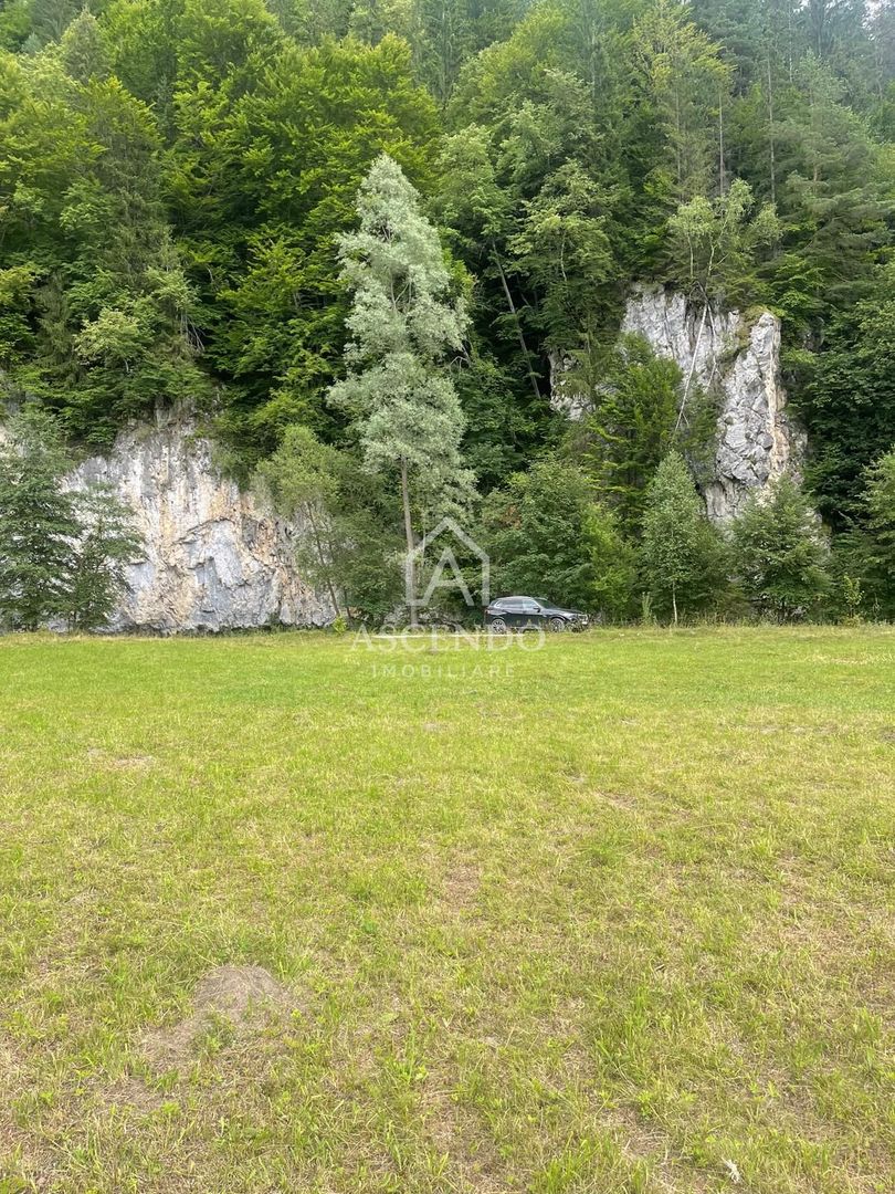 Teren pentru investiție turistică în Dâmbovicioara – Baranga | 4.500 mp | Front ~102 ml - Poză 11