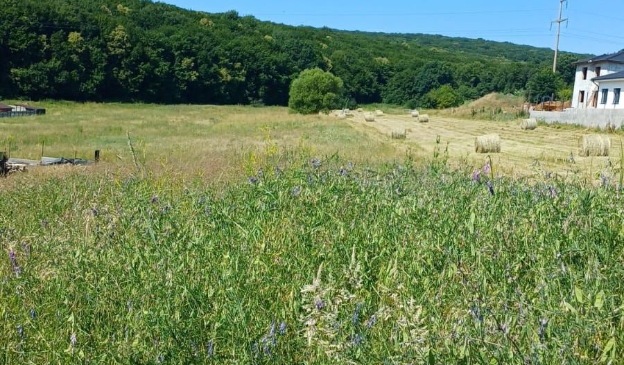 Teren intravilan - Corunca - Poză 3