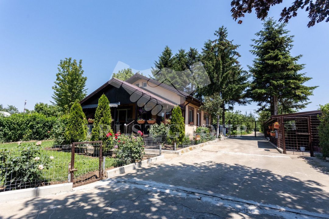 Oportunitate Rară – Vilă pe Malul Lacului Snagov | Piscina | Ponton | COMISION 0 - Poză 23