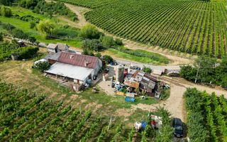 Vie Tradițională „Halta Lupilor” - Poză 43