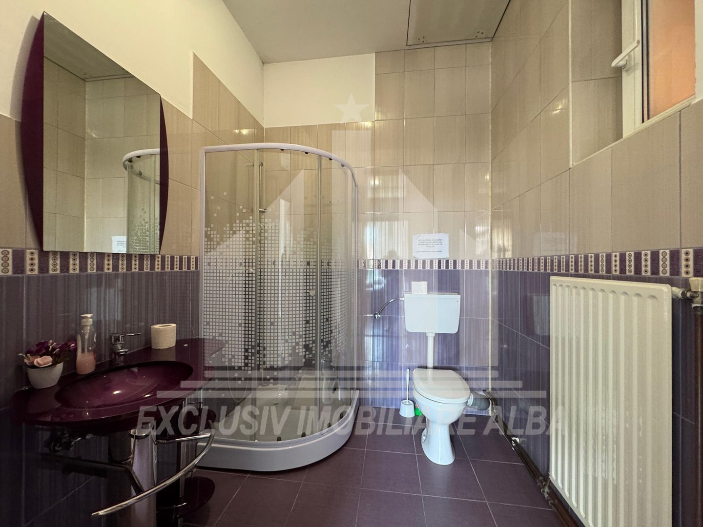Casa individuala | De inchiriat | 200 mp | 430 mp teren | Cetate - Poză 4
