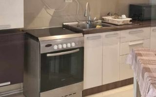 Apartament 3 camere de inchiriat zona Dacia - Poză 9