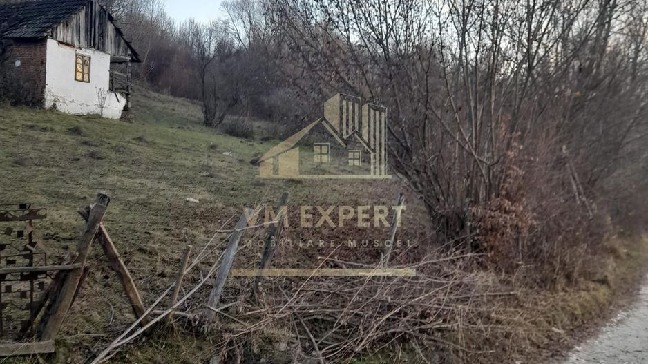 TEREN INTRAVILAN 5461 MP, BUGHEA DE JOS, ARGES - Poză 4