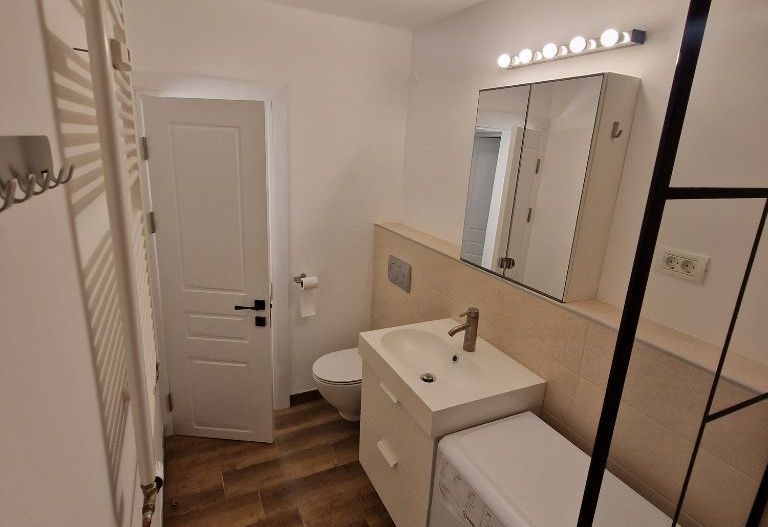 De Inchiriat Garsoniera spatioasa, renovata 2023, Centrul Civic - Poză 3