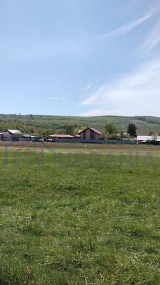 Teren extravilan 7.200 mp, Bordea - Grajduri, oportunitate investiție - Poză 8