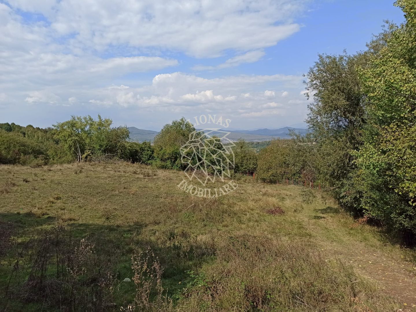 Teren  42,200 mp (4,22 hectare)-Parcelabil-investitie-Valea Jelnei - Poză 1