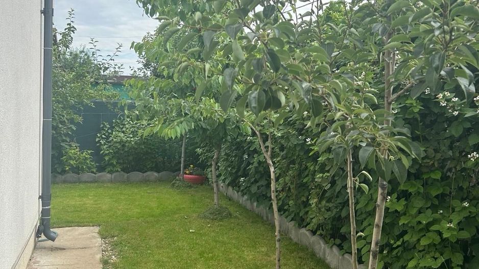 Comision 0% | Vilă Premium cu Fotovoltaice | Tunari - Poză 8