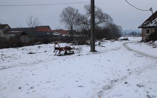 Ferma de Vânzare – Oportunitate Unică! - Poză 11