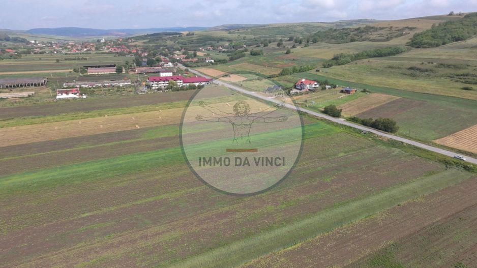 Teren 10.670 mp | Borșa Cluj | Front 38m | Utilități - Poză 10