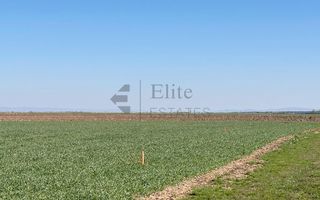 Teren 20.141 mp de vanzare in zona Aeroportului Oradea - Poză 3