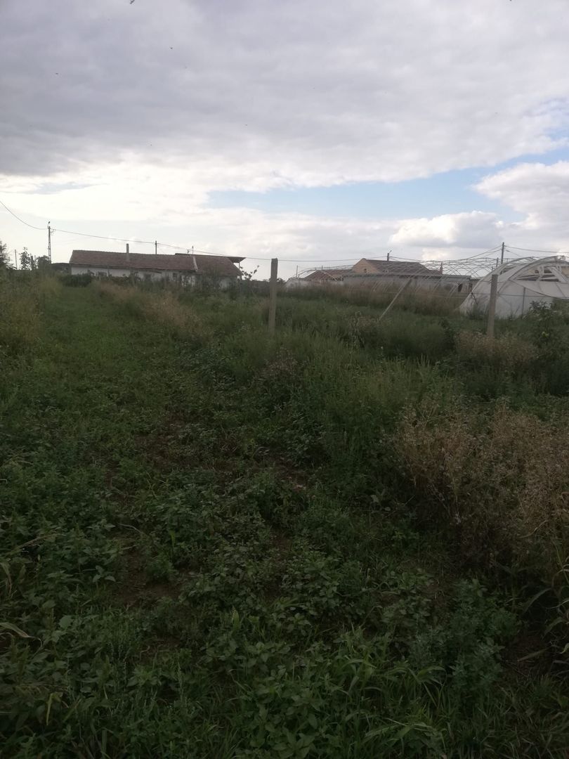 Ferma de vânzare - Poză 10