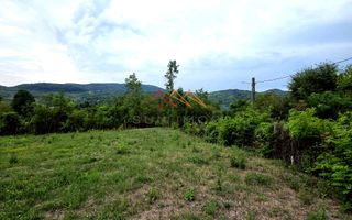 Teren Intravilan, utilitati in zona, 2600 mp, Draganeasa, Prahova - Poză 2