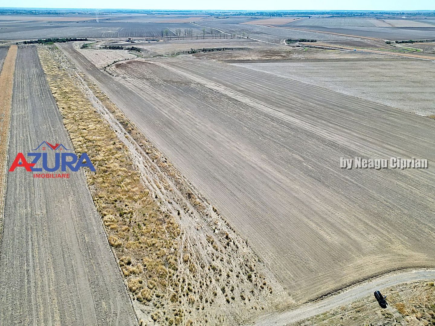 Teren agricol, 5HA, comasat, drum acces, Cateasca - Poză 9