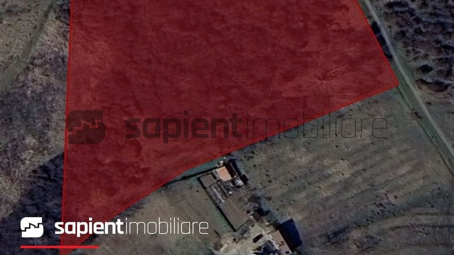 Sapient | Teren Intravilan 12831 MP Episcopia - Poză 3