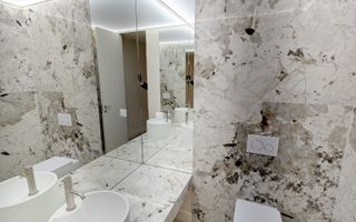 Innhiriere Penthouse Iancu Nicolae Gradina Zoologica - Poză 22