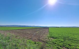 Teren extravilan, 8700 mp, pretabil agricultură sau investiție - Bod - Poză 5