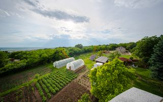 Vilă Exclusivistă în Copou – 680 mp Utili | Teren 1.414 mp - Poză 32