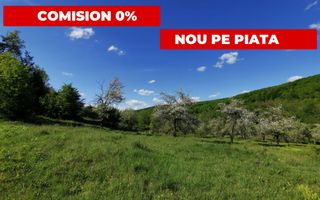 Teren 680mp Budeasa Mica, AG - Poză 1