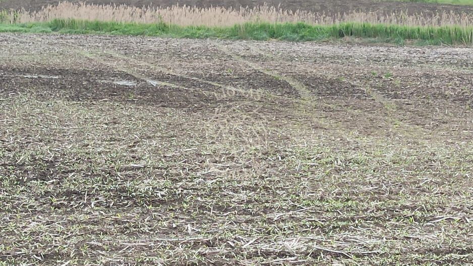 Teren intravilan 1000 mp cu utilitati-ideal casa P+2E-Sarata - Poză 2