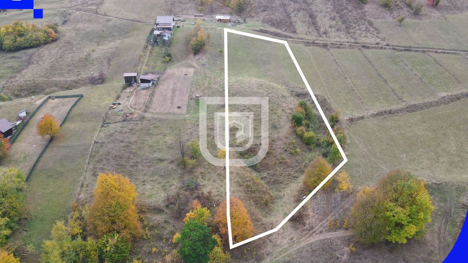 Teren - Gura Humorului |  BUCOVINA | 20€ mp - Poză 5