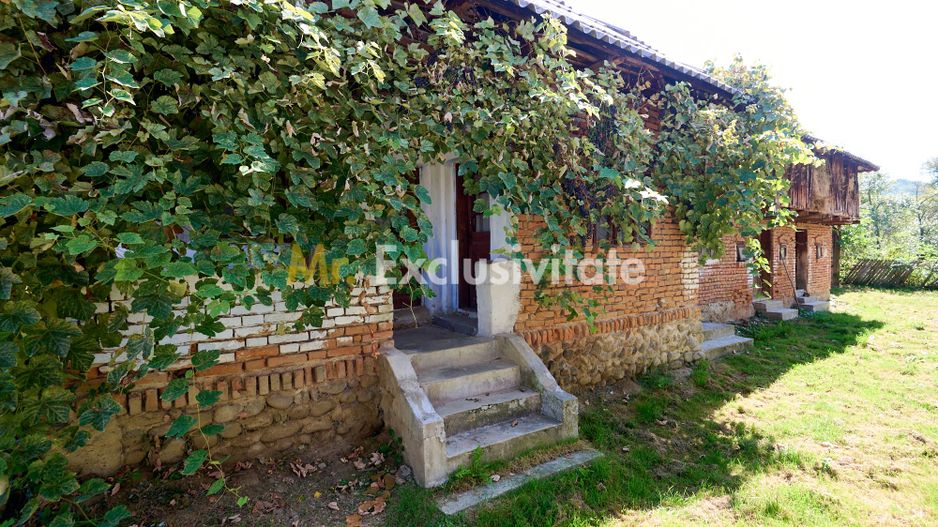 Casa cu teren de 1.200 mp si livada–Badesti, comuna Pietrosani, Arges - Poză 3