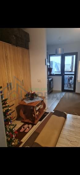 Apartament 1 camera, open space, etaj 3/3, Valea Lupului - Poză 5