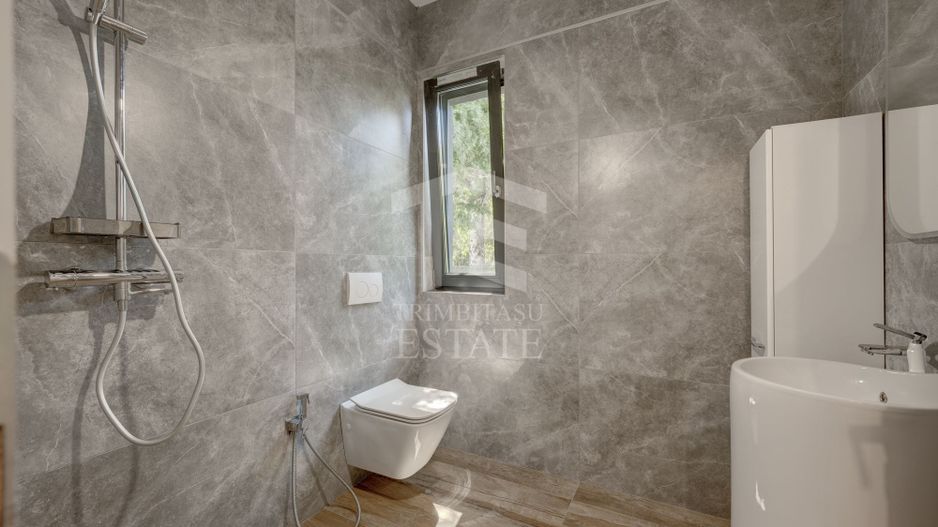Casa superba Snagov Ciofliceni - LOT 514 MP - Liniste- Curte amenajata - Poză 16