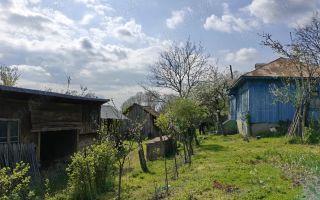 CASA LA 20 KM DE CRAIOVA CU 10000 MP. TEREN - Poză 5