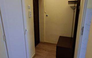 Inchiriere apartament 2 camere Craiovei mobilat si utilat - Poză 7
