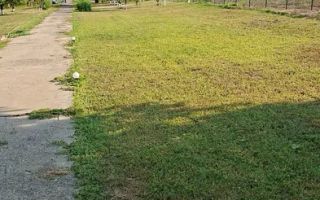 Casa de inchiriat | Snagov | acces direct la lac | ponton propriu - Poză 14