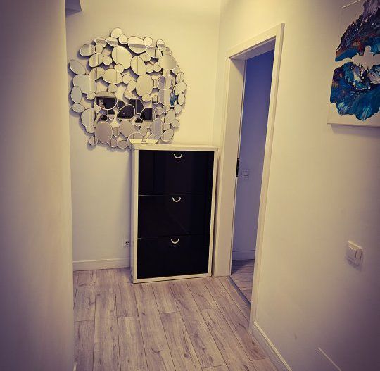 Apartament 3 camere Herastrau parc - Poză 10