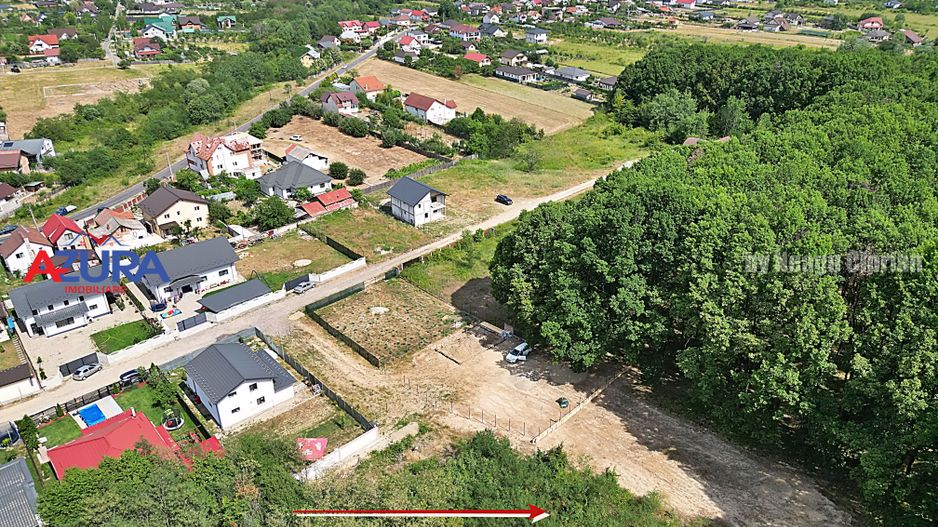 AZURA Imobiliare - Vanzare teren Hintesti, langa padure, 300m din DN - Poză 21