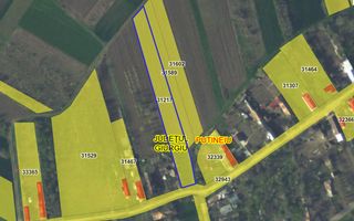 Teren intravilan 2.500 mp – Vieru, Giurgiu - Poză 2