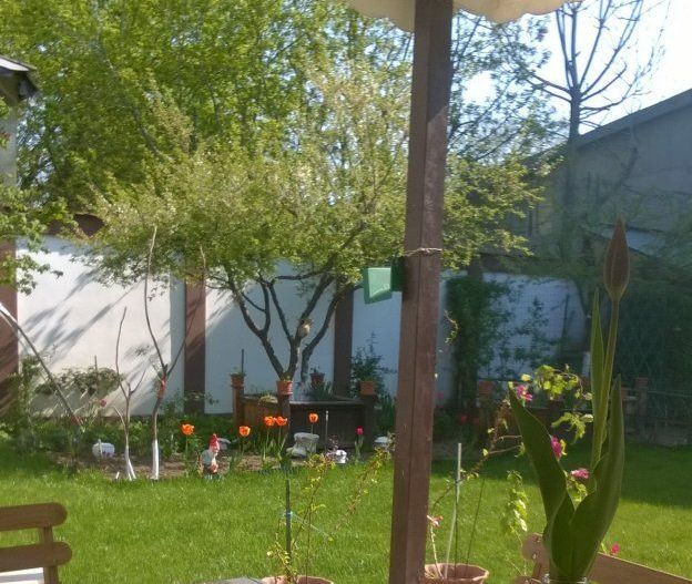 Casa/Vila/Spatiu comercial  Rahova-Sos.Salaj - Poză 9