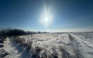 Teren Extravilan | 52 ari | Maneuti | Front 26 m | 55.500 € - Poză 7