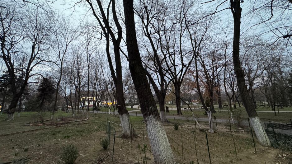 Apartament 4 camere, 74 mp, Dorobanti -Beller - Poză 18