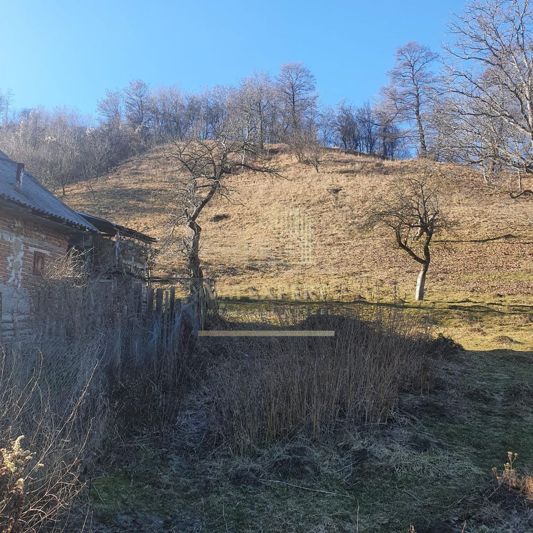 TEREN INTRAVILAN 4614 MP, CAMPULUNG - VALEA ROMANESTILOR - Poză 4