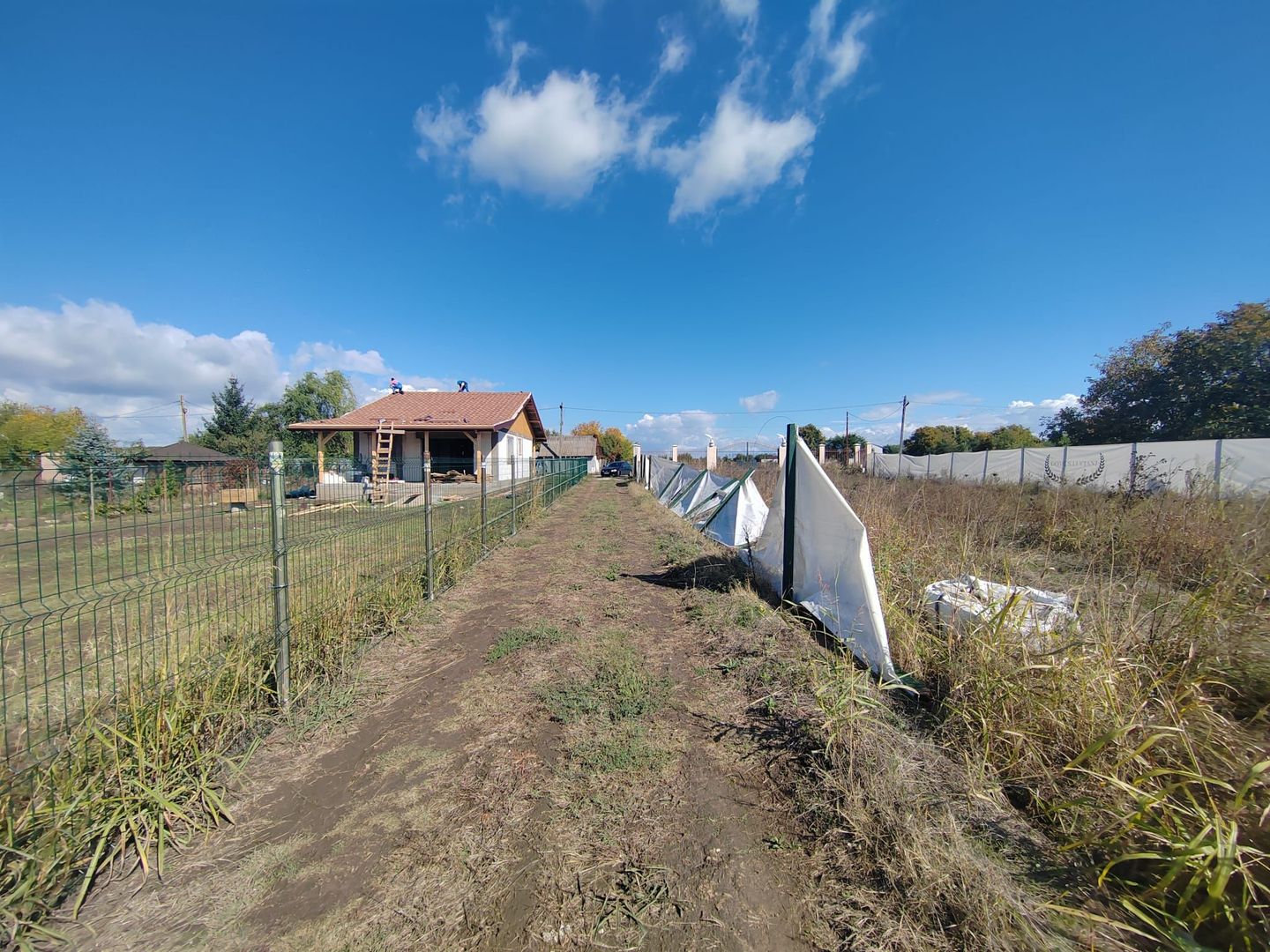 Gagu Dascalu teren ideal pentru investitie zona in dezvoltare - Poză 9