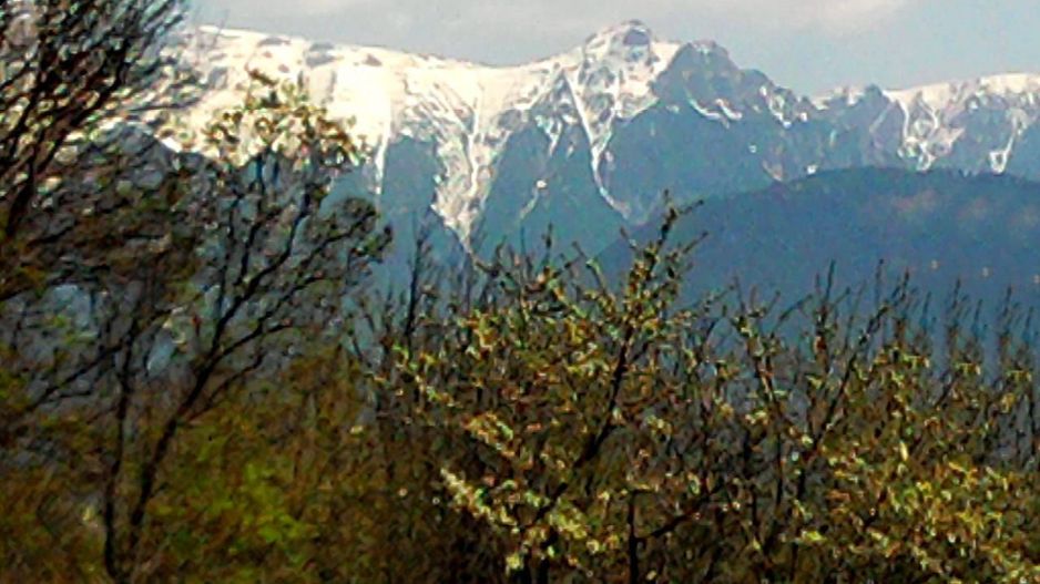 teren intravilan in zona Magura Bran - Poză 1