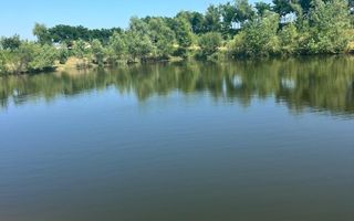 Iaz Piscicol Bacau Saucesti - Poză 3