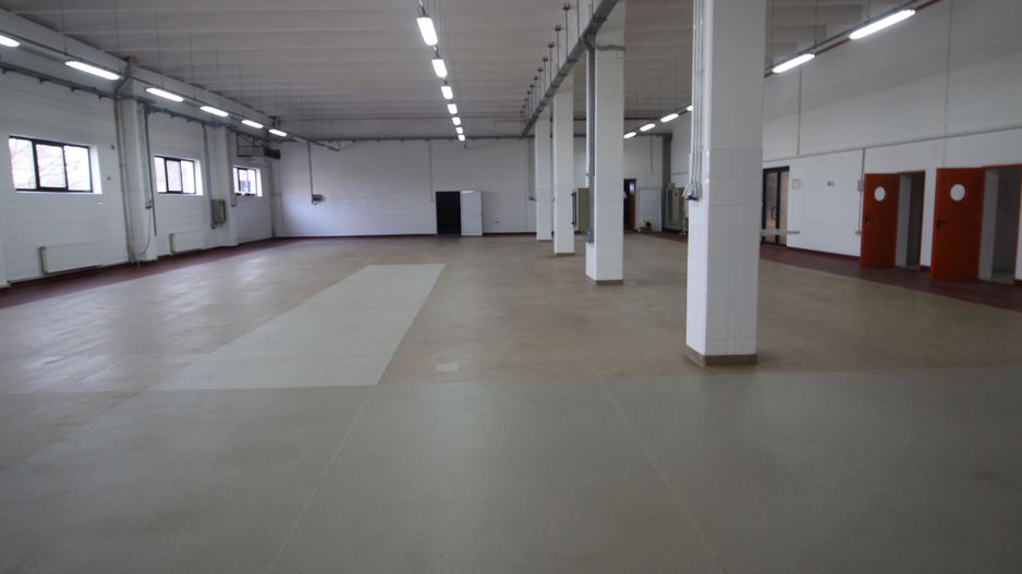 Hala productie    - Calea Torontalului de vanzare - Poză 3