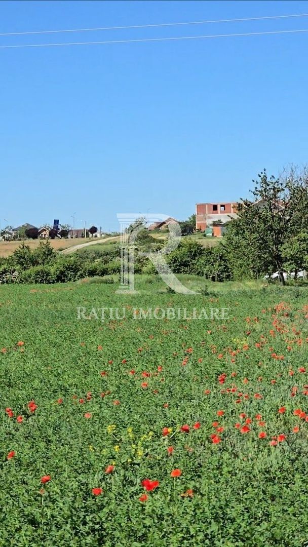 Teren Intravilan | 1780 mp | Sânmartin - Poză 6