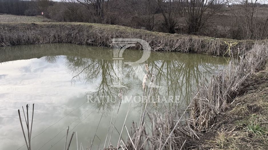 Pescărie cu teren intravilan | Drăgești | Bihor - Poză 5